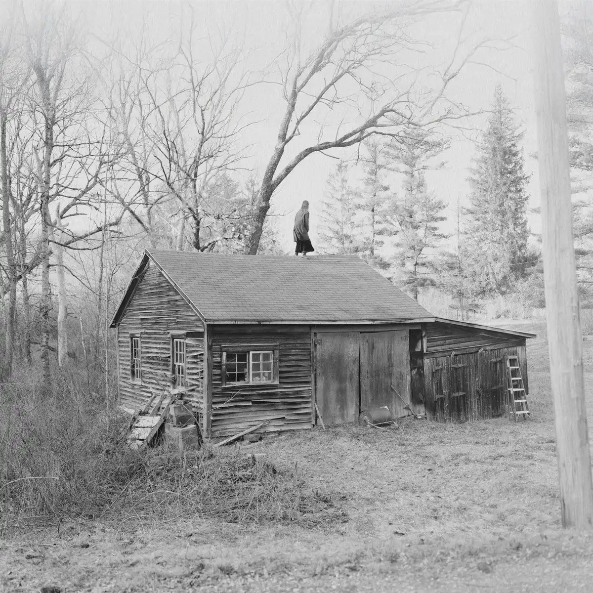 OLD SAW / THE WRINGING CLOTH [2LP]