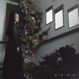 雅 / 寄り添う夢
