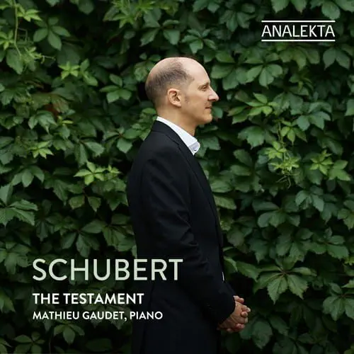 MATHIEU GAUDET / マチュー・ゴーデ / SCHUBERT:PIANO SONATA NO.6 - THE TESTAMENT