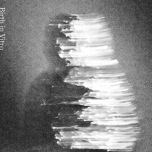 fulusu / Birth in Vitro