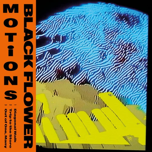 BLACK FLOWER / ブラック・フラワー / MOTIONS