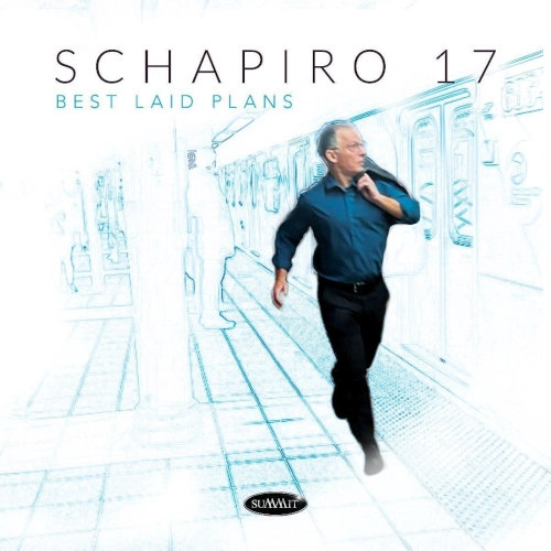 SCHAPIRO 17 / BEST LAID PLANS