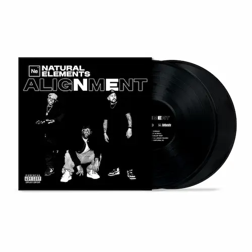 NATURAL ELEMENTS (MR.VOODOO, L-SWIFT, A BUTTA) / ALIGNMENT (2LP)