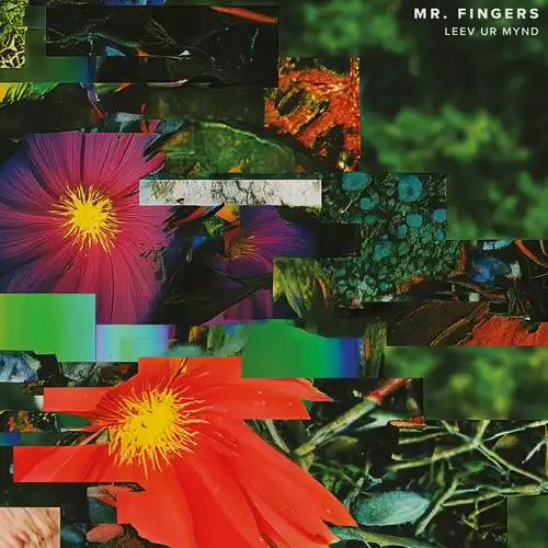 MR.FINGERS / ミスター・フィンガーズ / LEEV UR MYND (2LP)