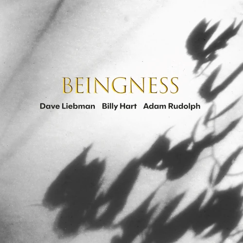 DAVE LIEBMAN (DAVID LIEBMAN) / デイヴ・リーブマン / BEINGNESS