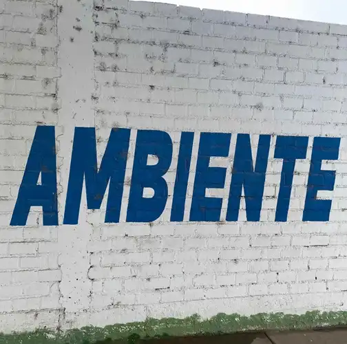 JEX OPOLIS / AMBIENTE (LP)