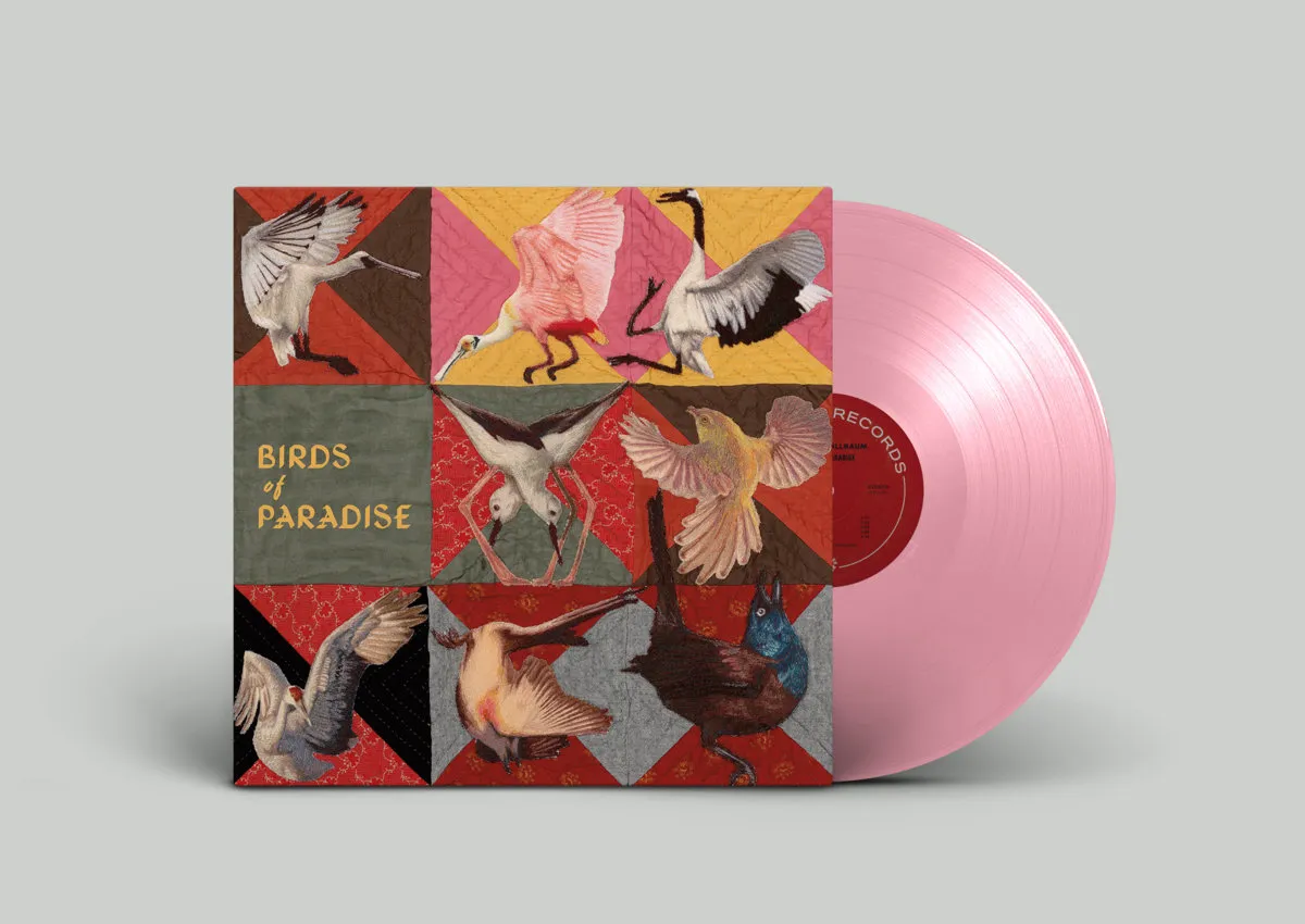 THOMAS DOLLBAUM / BIRDS OF PARADISE (COLORED LP)