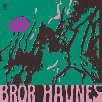 BROR HAVNES / ブロール・ハヴネス / DE SOM VET