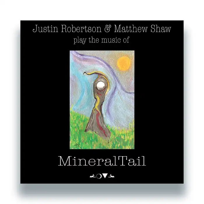 JUSTIN ROBERTSON AND MATTHEW SHAW / PLAY THE MUSIC OF MINERALTAIL (LP)
