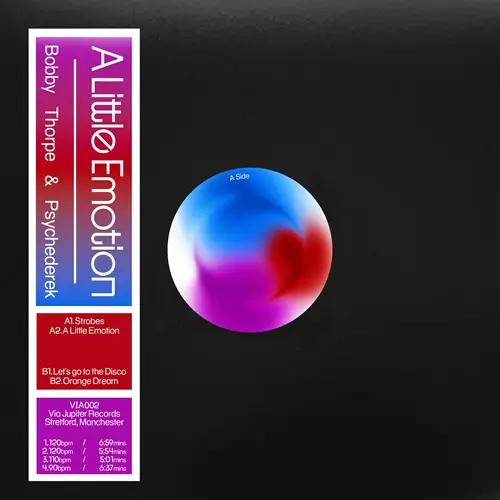 BOBBY THORPE & PSYCHEDEREK / A LITTLE EMOTION