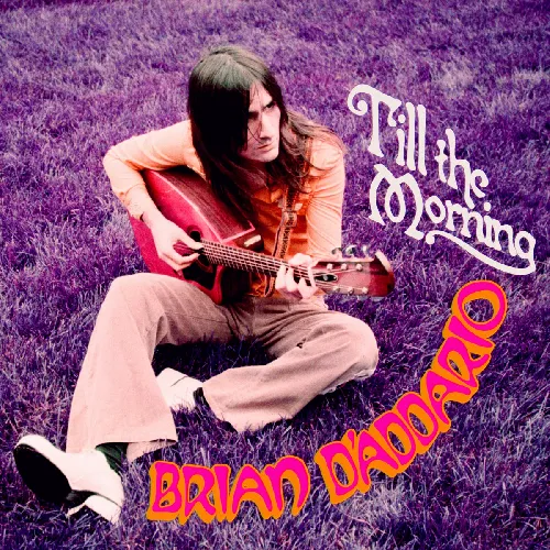 BRIAN D'ADDARIO / TILL THE MORNING (CD)
