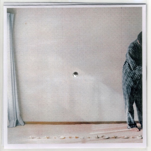 タデクイ / MOTHER(LP)