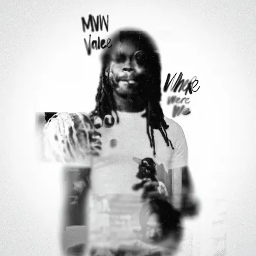 VALEE & MVW / WHERE WERE WE (LP)