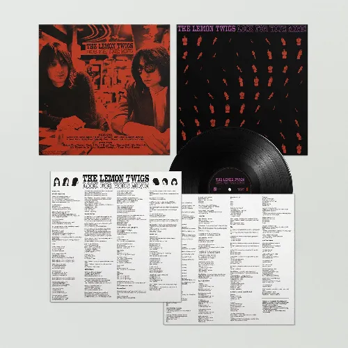 LEMON TWIGS / レモン・ツイッグス / LOOK FOR YOUR MIND (LP)