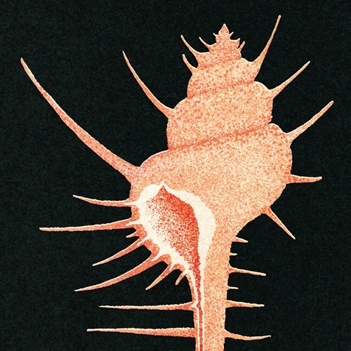 Veg / Adrift in Time（LP）