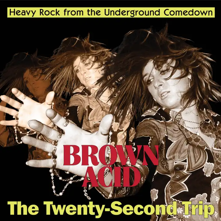 V.A. (BROWN ACID) / BROWN ACID - THE TWENTY-SECOND TRIP (LP)