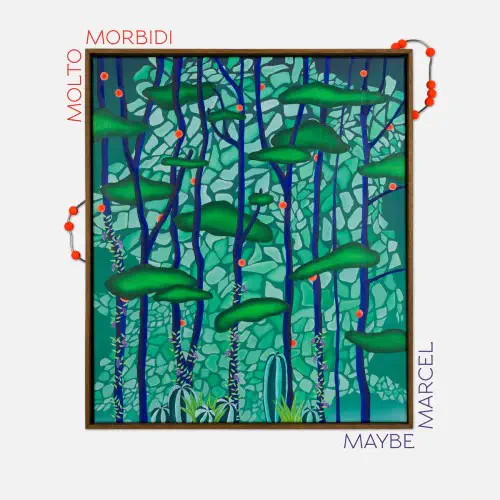 MOLTO MORBIDI / MAYBE MARCEL (LP)