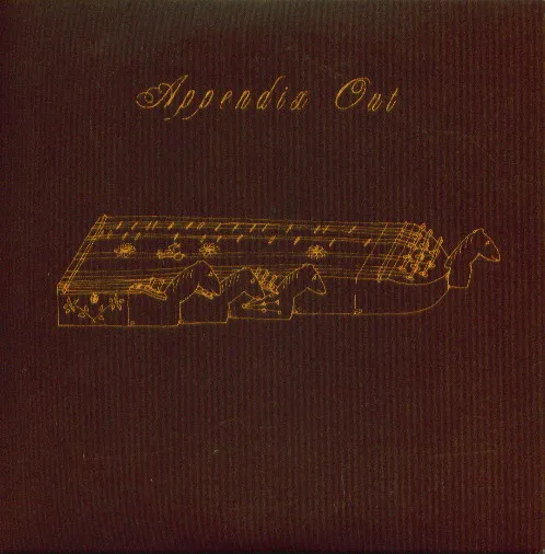 APPENDIX OUT / アペンディクス・アウト / TRAVELS IN CONSTANTS VOLUME THIRTEEN