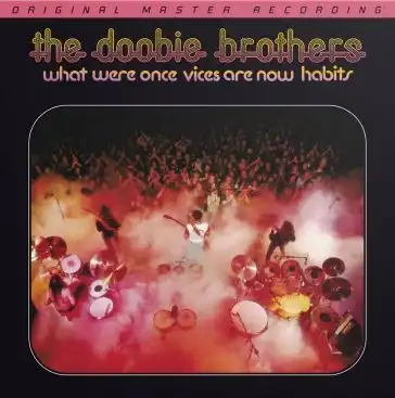 DOOBIE BROTHERS / ドゥービー・ブラザーズ / WHAT WERE ONCE VICES ARE NOW HABITS (45RPM 180G VINYL 2LP)