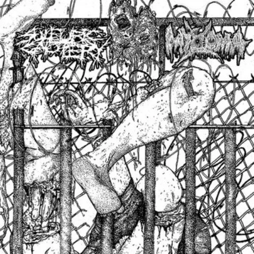 SULFURIC CAUTERY : MYXOMA / SPLIT (7")