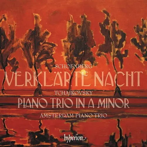AMSTERDAM PIANO TRIO / アムステルダム・ピアノ・トリオ / TCHAIKOVSKY:PIANO TRIO/SCHOENBERG:VERKLARTE NACHT