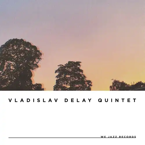 VLADISLAV DELAY QUINTET / vd5 (LP)