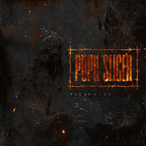 PUPIL SLICER / FLESHWORK