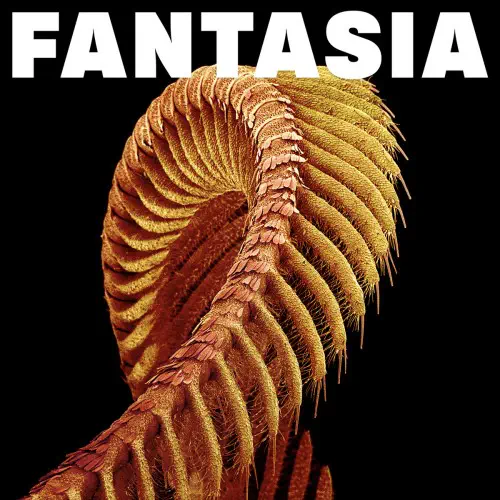 SLIFT / FANTASIA (CD)