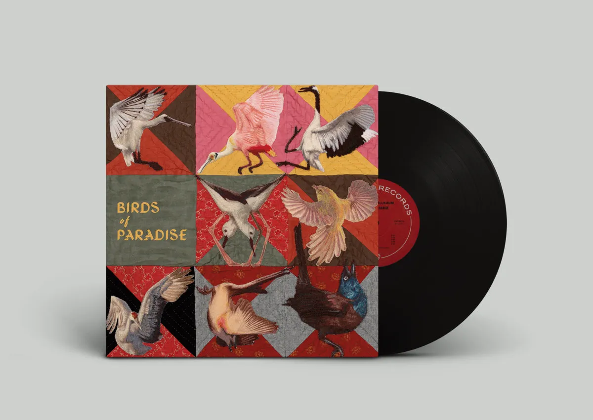 THOMAS DOLLBAUM / BIRDS OF PARADISE (LP)
