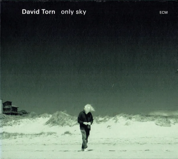 DAVID TORN / デイヴィッド・トーン / ONLY SKY