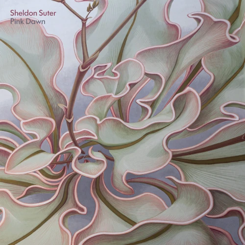 SHELDON SUTER / PINK DAWN