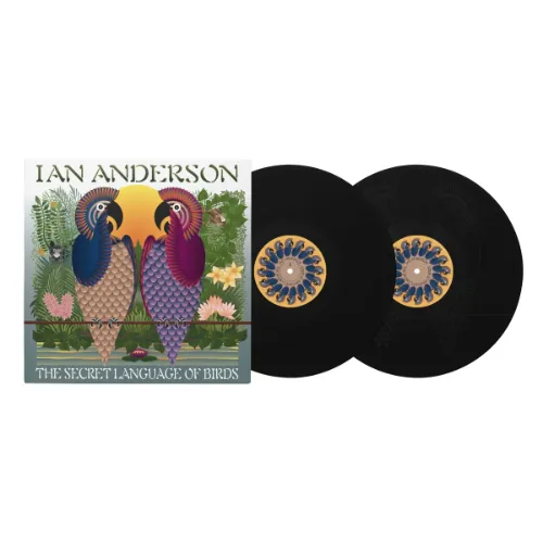 IAN ANDERSON / イアン・アンダーソン / THE SECRET LANGUAGE OF BIRDS: LIMITED DOUBLE VINYL