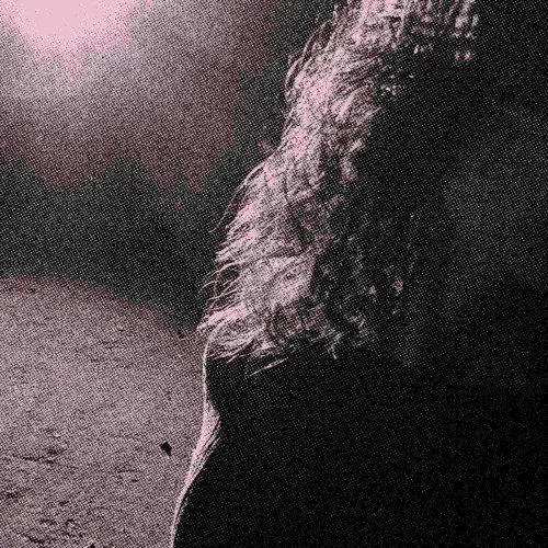 VENTURING / GHOSTHOLDING (ORCHID VINYL)