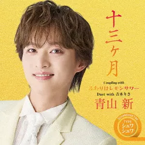 SHIN AOYAMA / 青山新 / 十三ヶ月 C/W ふたりはレモンサワー