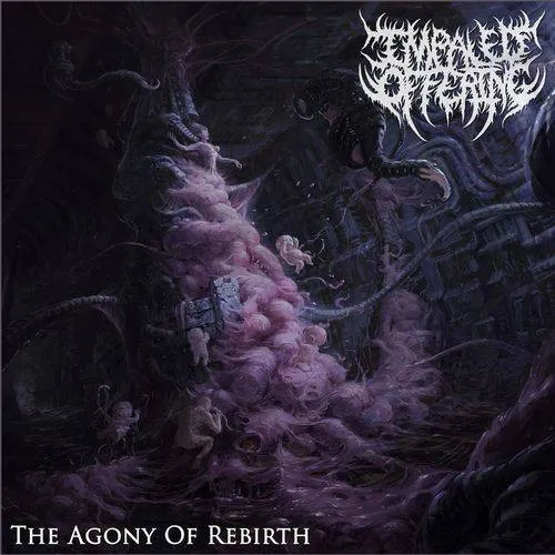 IMPALED OFFERING / AGONY OF REBIRTH
