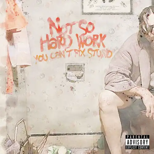 NOT SO HARD WORK / You can't fix stupid