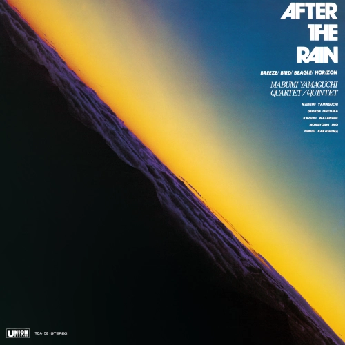 MABUMI YAMAGUCHI / 山口真文 / AFTER THE RAIN