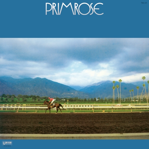 HIROMASA SUZUKI / 鈴木宏昌 / PRIMROSE