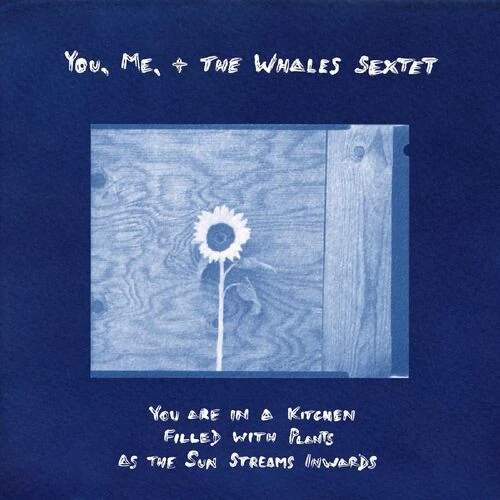 YOU, ME, + THE WHALES SEXTET / YOU ARE IN A KITCHEN FILLED WITH PLANTS AS THE SUN STREAMS INWARDS