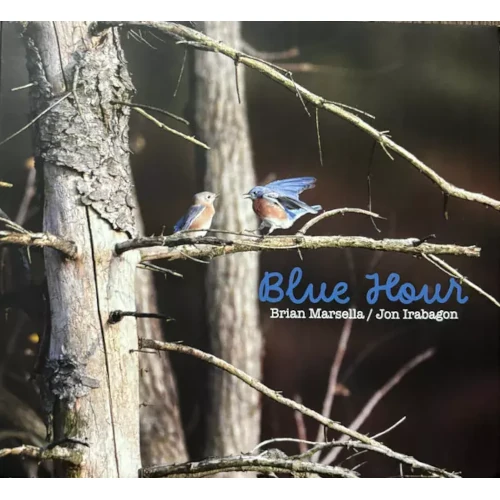 BRIAN MARSELLA & JON IRABAGON / BLUE HOUR