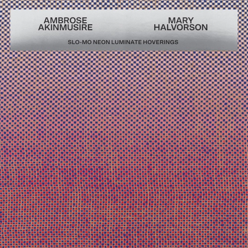 AMBROSE AKINMUSIRE & MARY HALVORSON / アンブローズ・アキンムシーレ&メアリー・ハルヴォーソン / SLO-MO NEON LUMINATE HOVERINGS