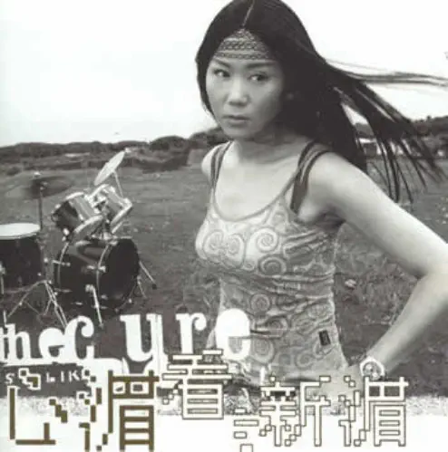 PAULINE LAN / 藍心湄 / SEE THE NEW MEI