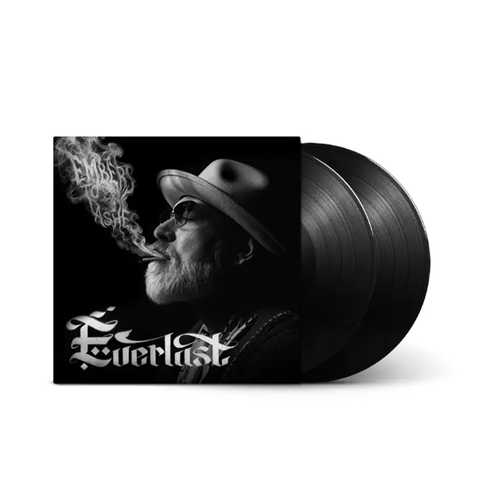 EVERLAST / エヴァーラスト / EMBERS TO ASHES (2LP) (BLACK VINYL)