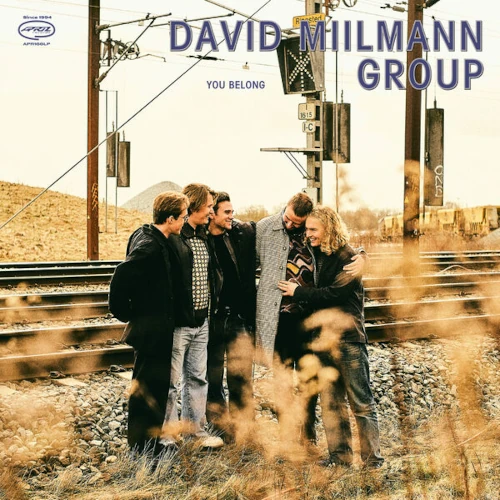 DAVID MIILMANN / YOU BELONG (LP)