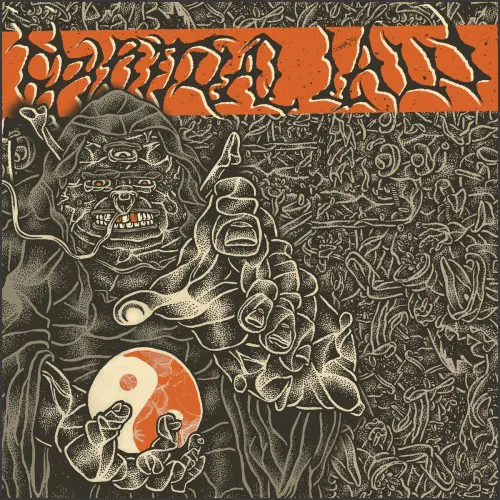 SPIRITUAL LAW / SPIRITUAL LAW (LP)