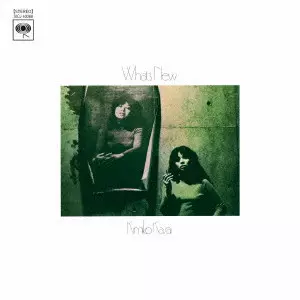 KIMIKO KASAI / 笠井紀美子 / ホワッツ・ニュー / WHAT'S NEW