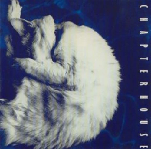 CHAPTERHOUSE / チャプターハウス / WHIRLPOOL / ワールプール