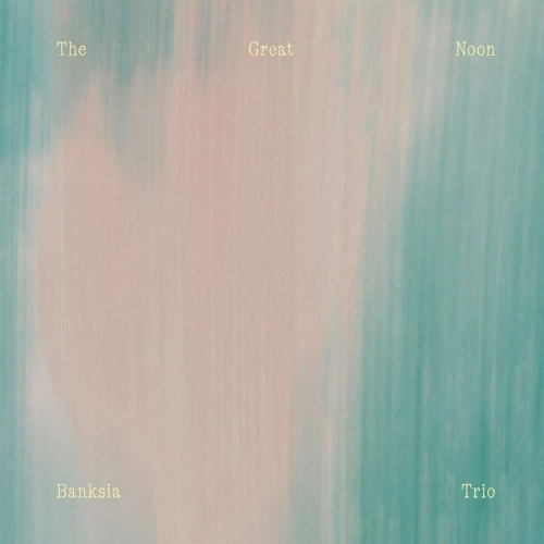 Banksia Trio / バンクシア・トリオ(須川崇志, 林正樹, 石若駿) / The Great Noon