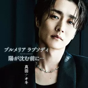 NAOKI SANADA / 真田ナオキ / プルメリア ラプソディ/陽が沈む前に... / PLUMERIA RHAPSODY/HI GA SHIZUMU MAE NI...
