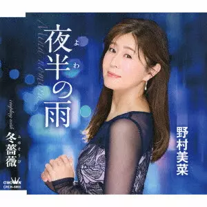 MINA NOMURA / 野村未奈 / 夜半の雨